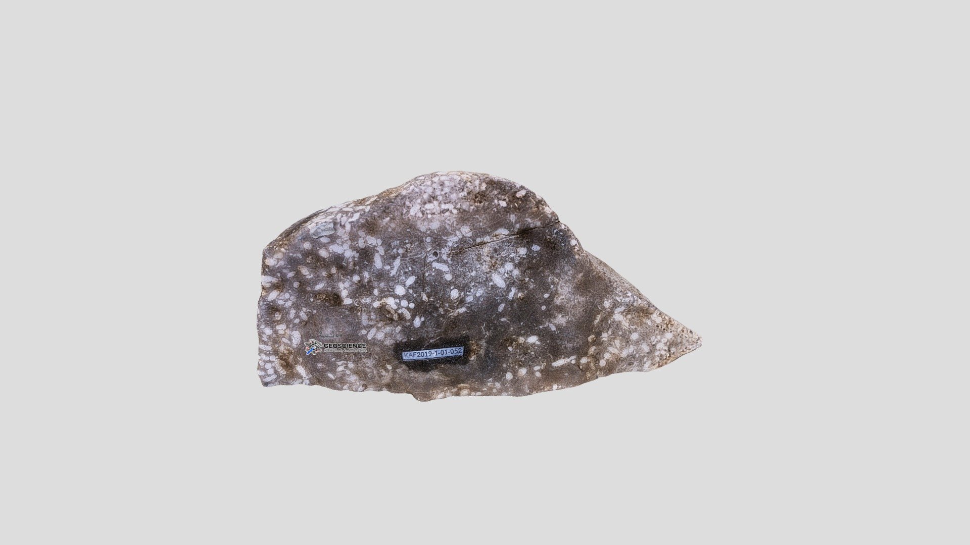 No. 7