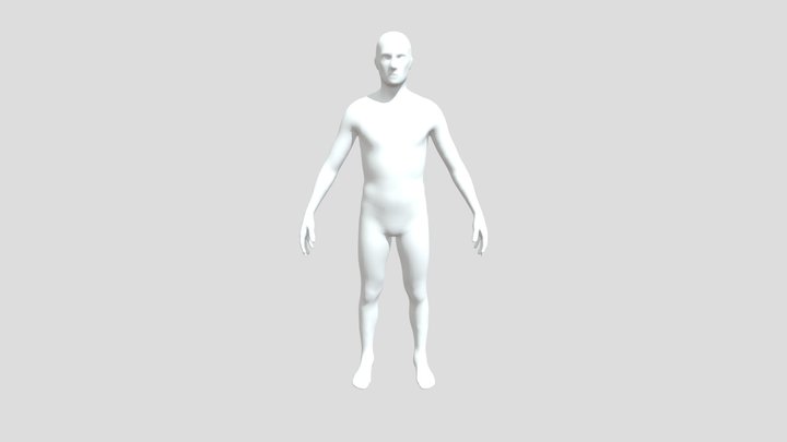 Human Model(Untextured) 3D Model