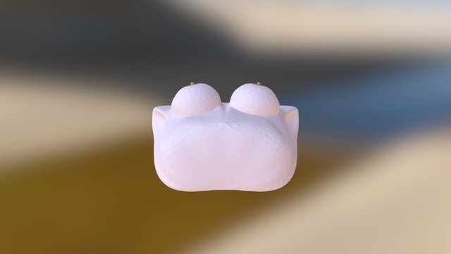 Breasts 3D Model
