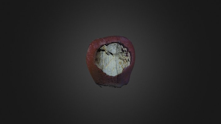 Partially bitten apple - RAW Point Cloud 3D Model