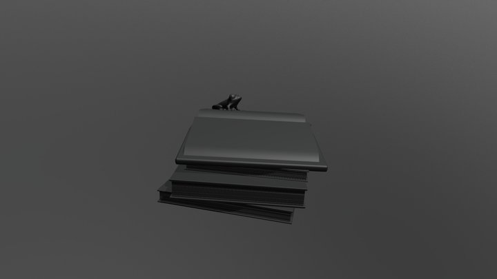 Books For Sara And Person 3D Model