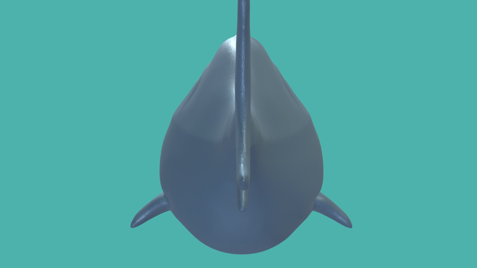 Shark