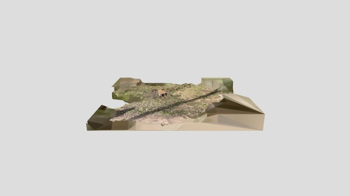 Scan 2023-04-28T13:06:58.128Z 3D Model