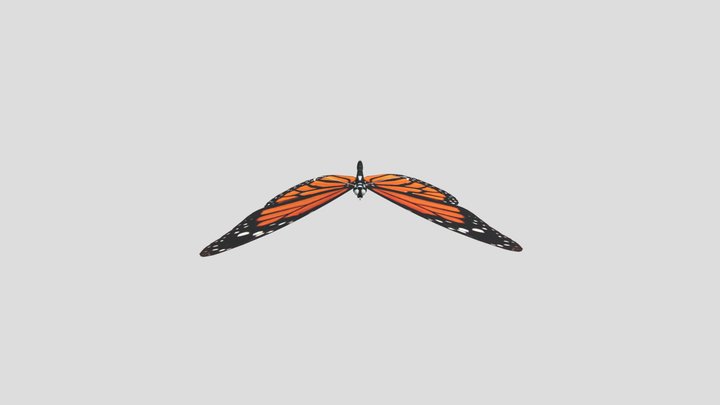 Butter Flying 3D Model