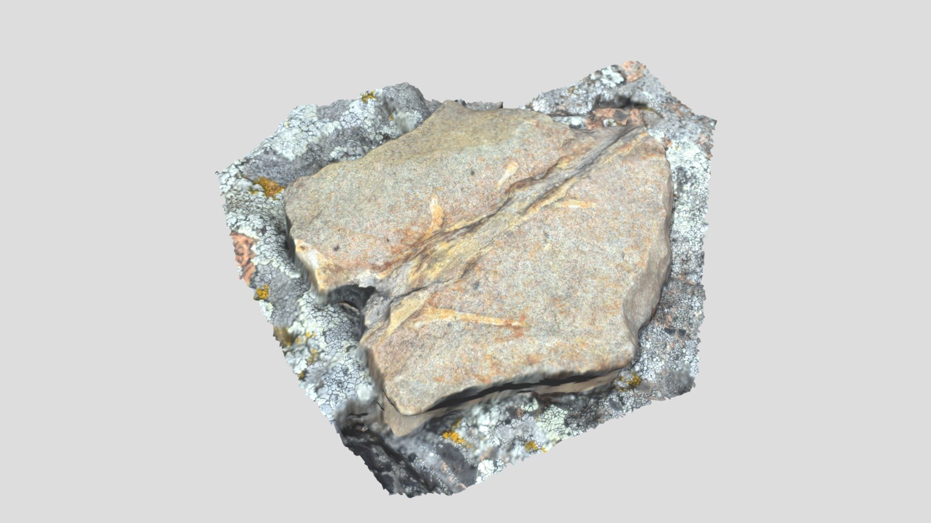 Lepidodendron