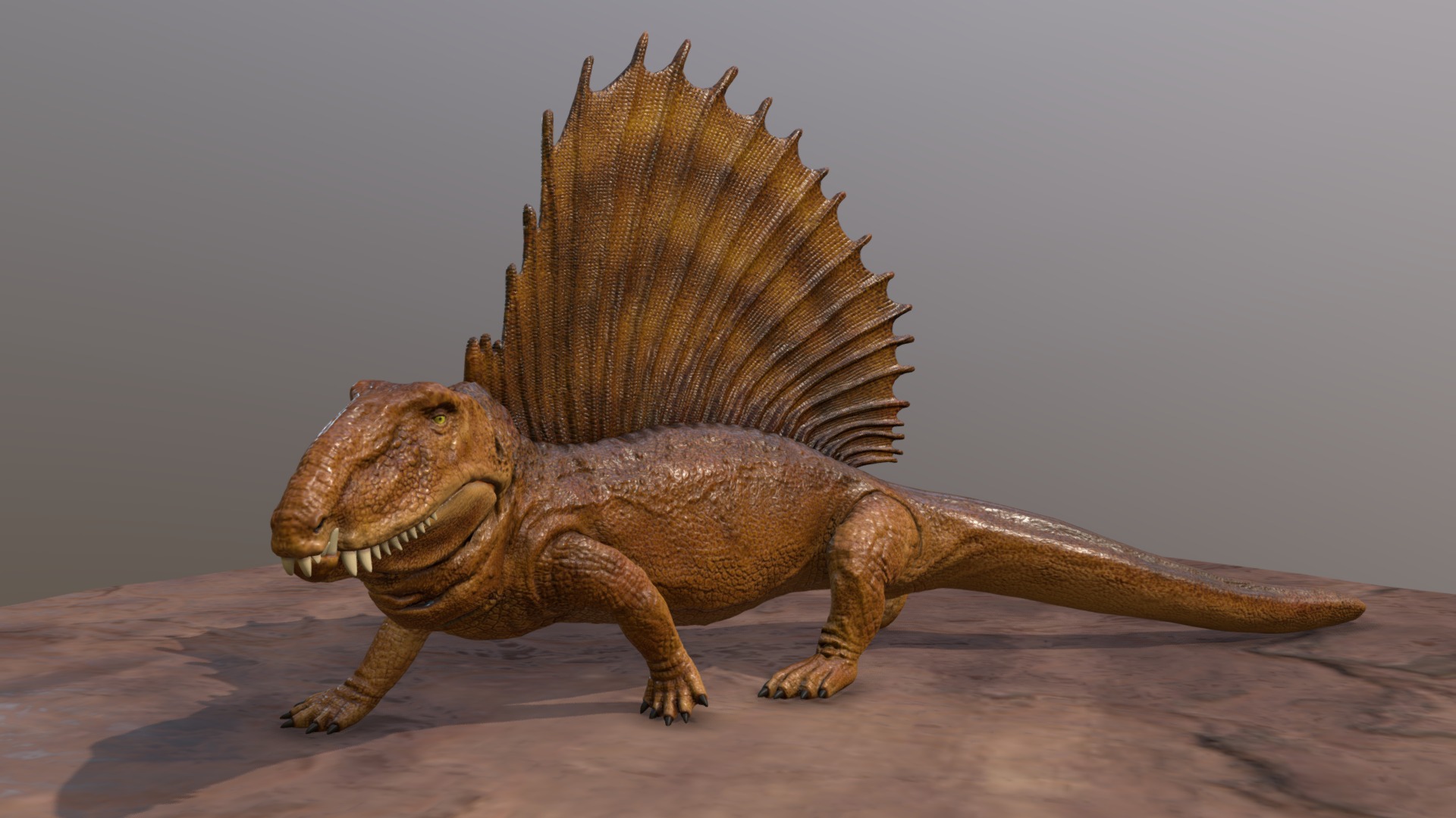 Dimetrodonte, Dinossauro 3D de Madeira