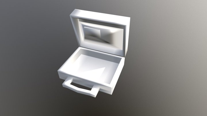 Case 3D Model