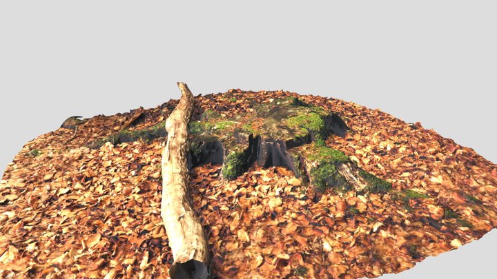 Marienhölzung 3D Model