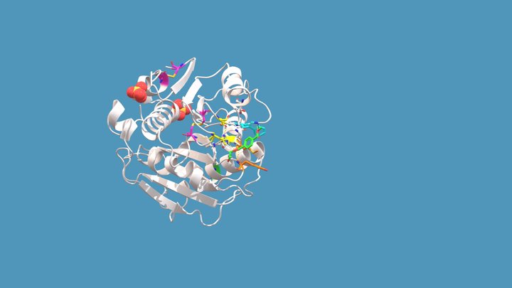 DM-HEMT PETase Enzyme 5XH3 3D Model