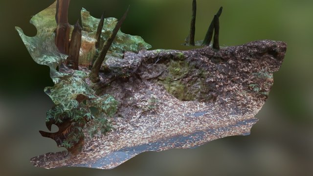 Hiker Hill 3D Model