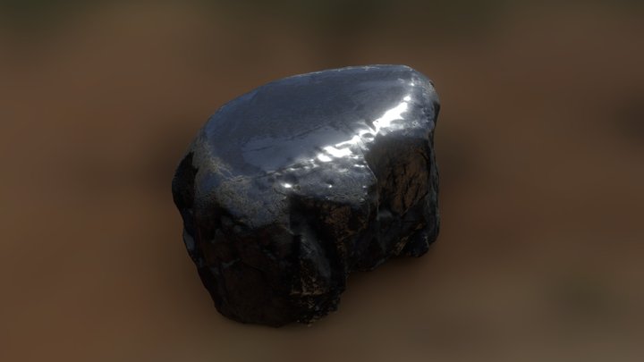 Unknown Fossil 3D Model