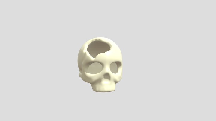 skull 3D Model