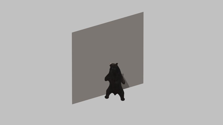 Bear_scratch 3D Model