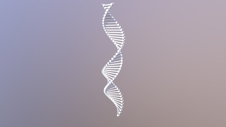 w1_DNA 3D Model