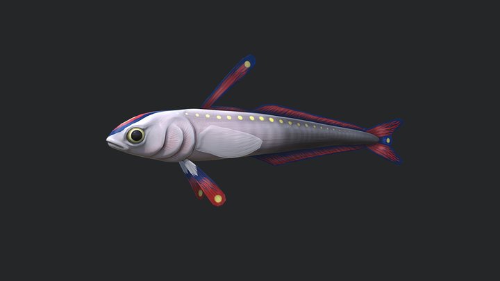 Fire goby fish 3D Model