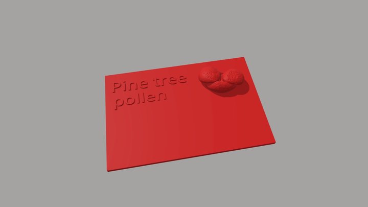 Pine Tree Pollen MIB Label