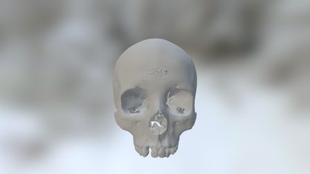 Skulloriented 3D Model