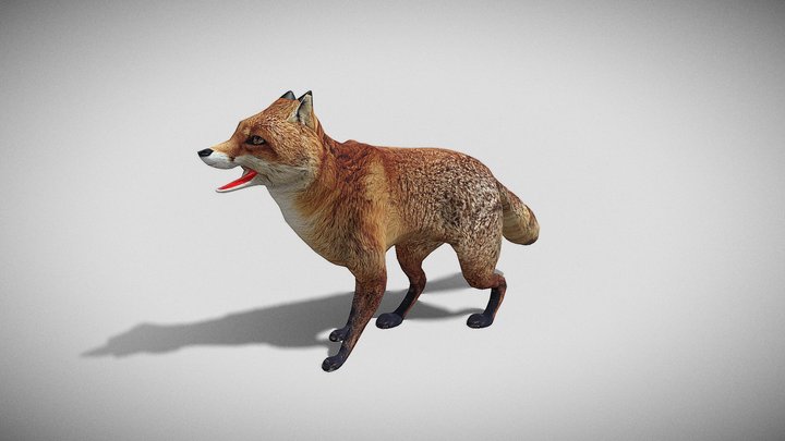 Fox – Free 3D Model STL
