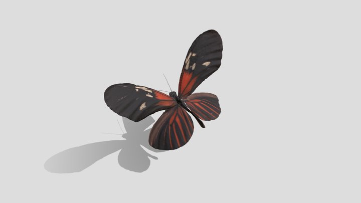 Heliconius xanthocles クサントクレスドクチョウ – Free 3D Model STL