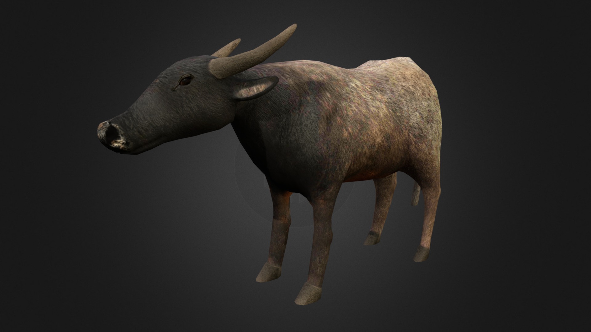 3D model Water buffalo - This is a 3D model of the Water buffalo. The 3D model is about a brown animal with horns.