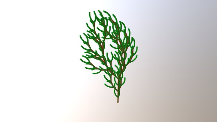 B 3D Model
