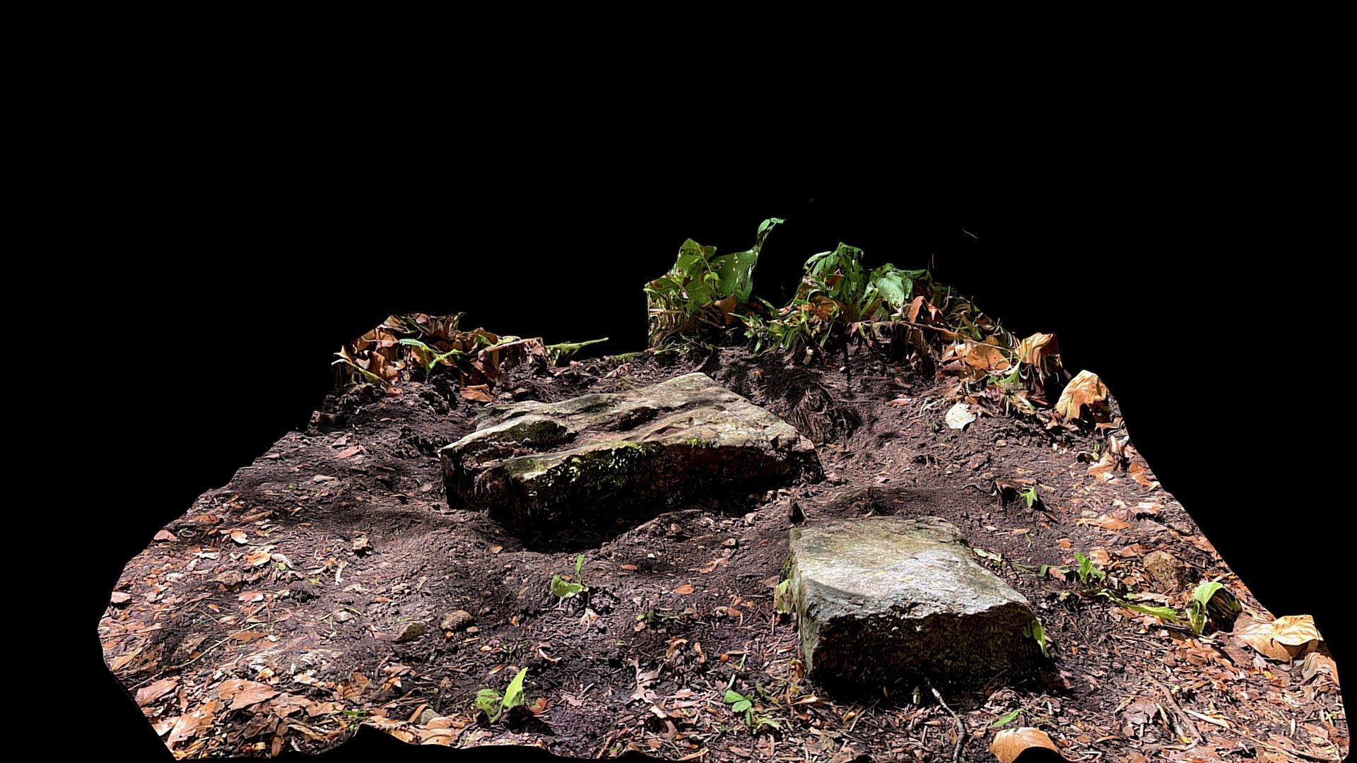 borNE-BE.96 — Sketchfab embed 3D viewer