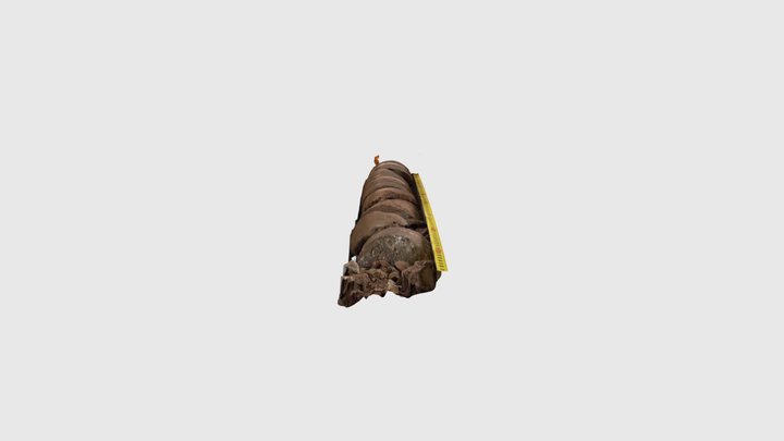 4/4 3D Model