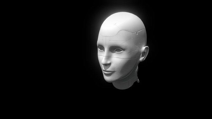 Ghost in the Shell Cyborg Head 3D Model