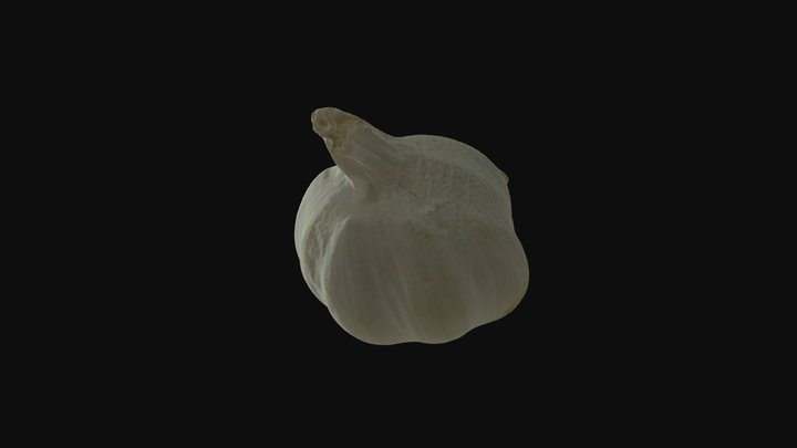 AJO GARLIC 3D Model