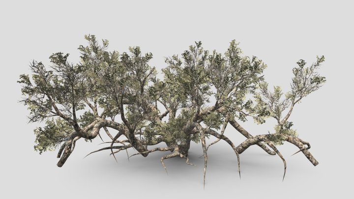 Tree (part12) – Modello 3D gratuito STL