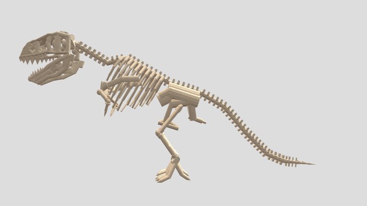 Dino t rex skeleton 3D Model