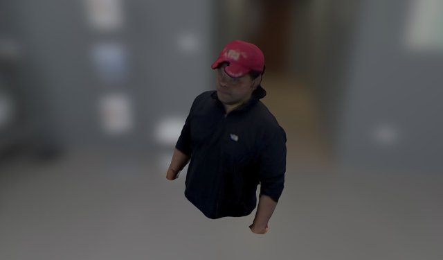 Red_Hat (30sec scan unrefined) 3D Model