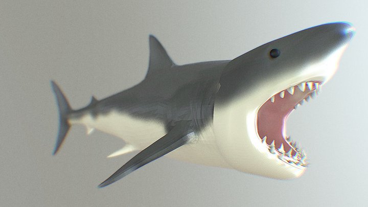Great White Shark 3D Model – Modelo 3D gratuito STL