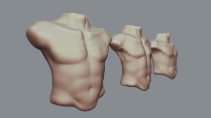 Day 22 - Male Torso #SculptJauary18 3D Model