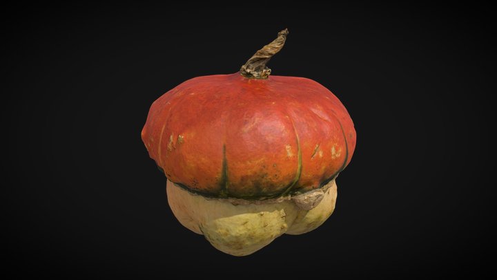 Ornamental Turban Gourd 3D Model