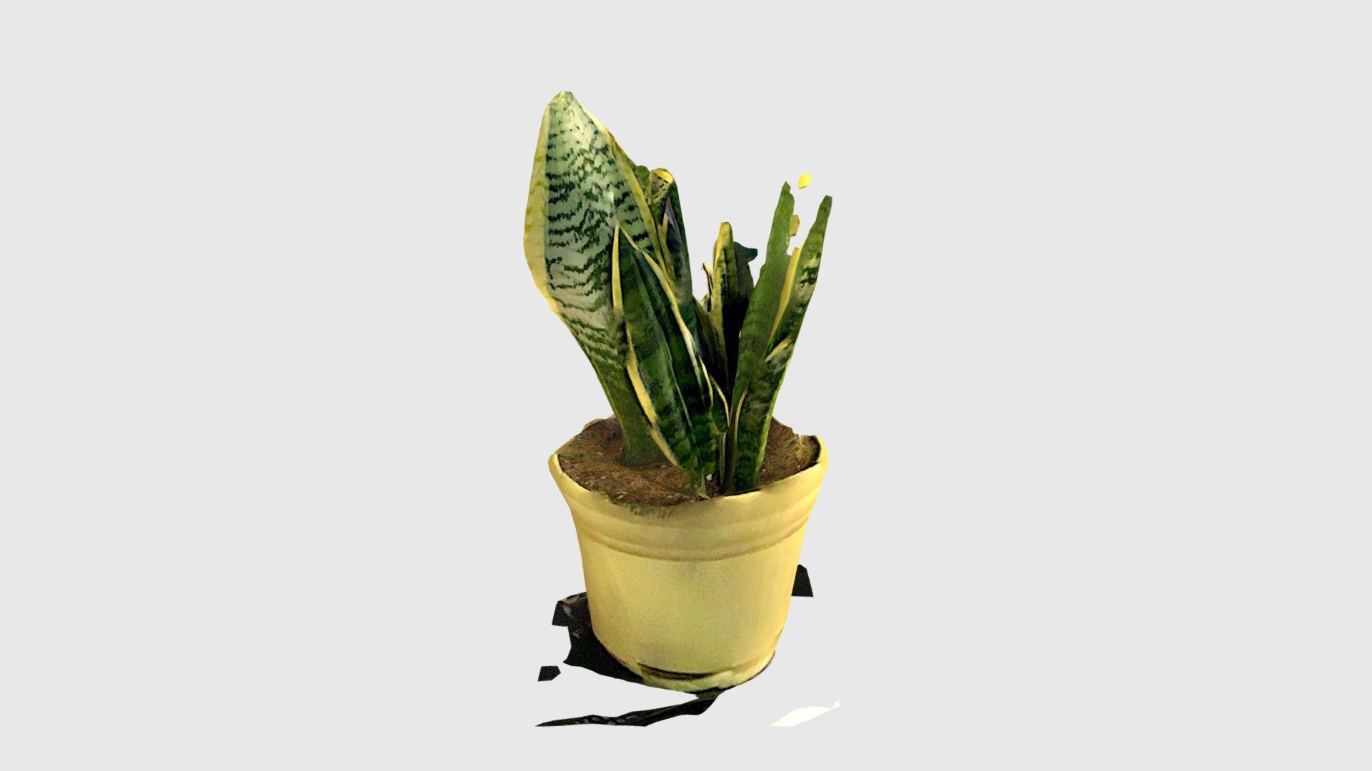 flowerpot 3d scan