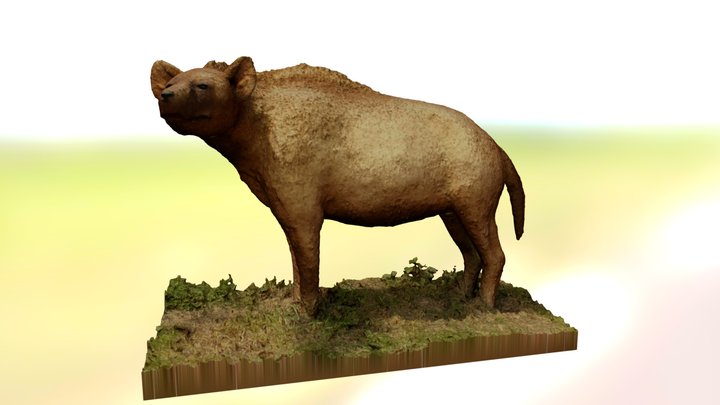 L'hyène 3D Model