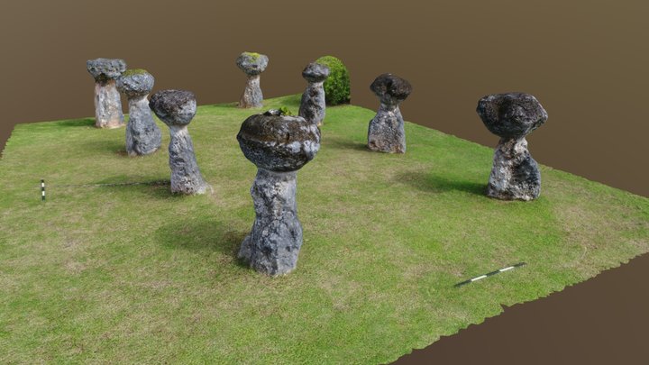 Latte Nikko 3D Model