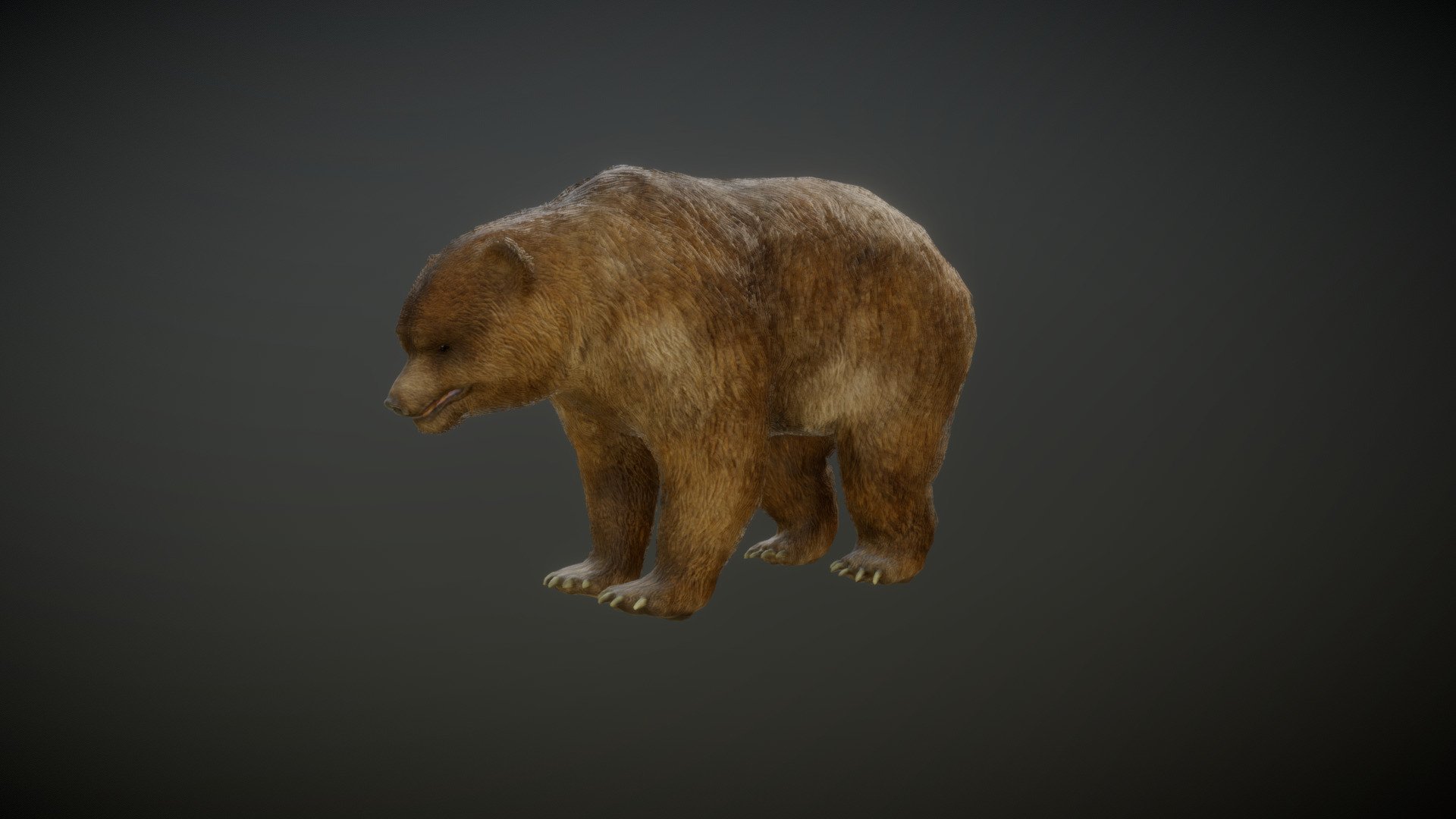 BEAR (Alpha) - Whitey REMAKE (v1) - Download Free 3D model by spiffatron  (@spiffatron) [5ce1854]