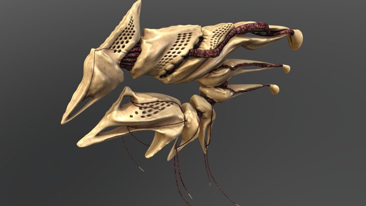 Biological Harvester [Honours Project] 3D Model