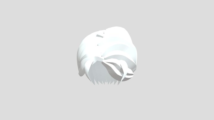 Hair 3D Model