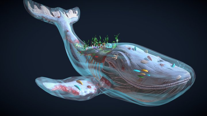 Whale of the veil - Stylized animated model 3D Model