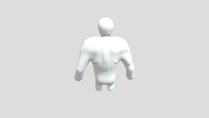 Male Torso 3D Model