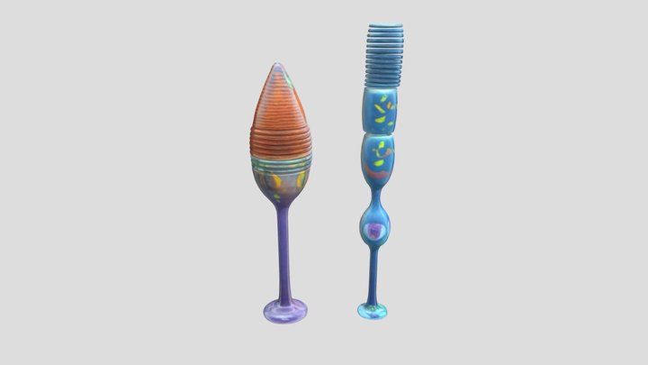Cell Structure Art 3D Model