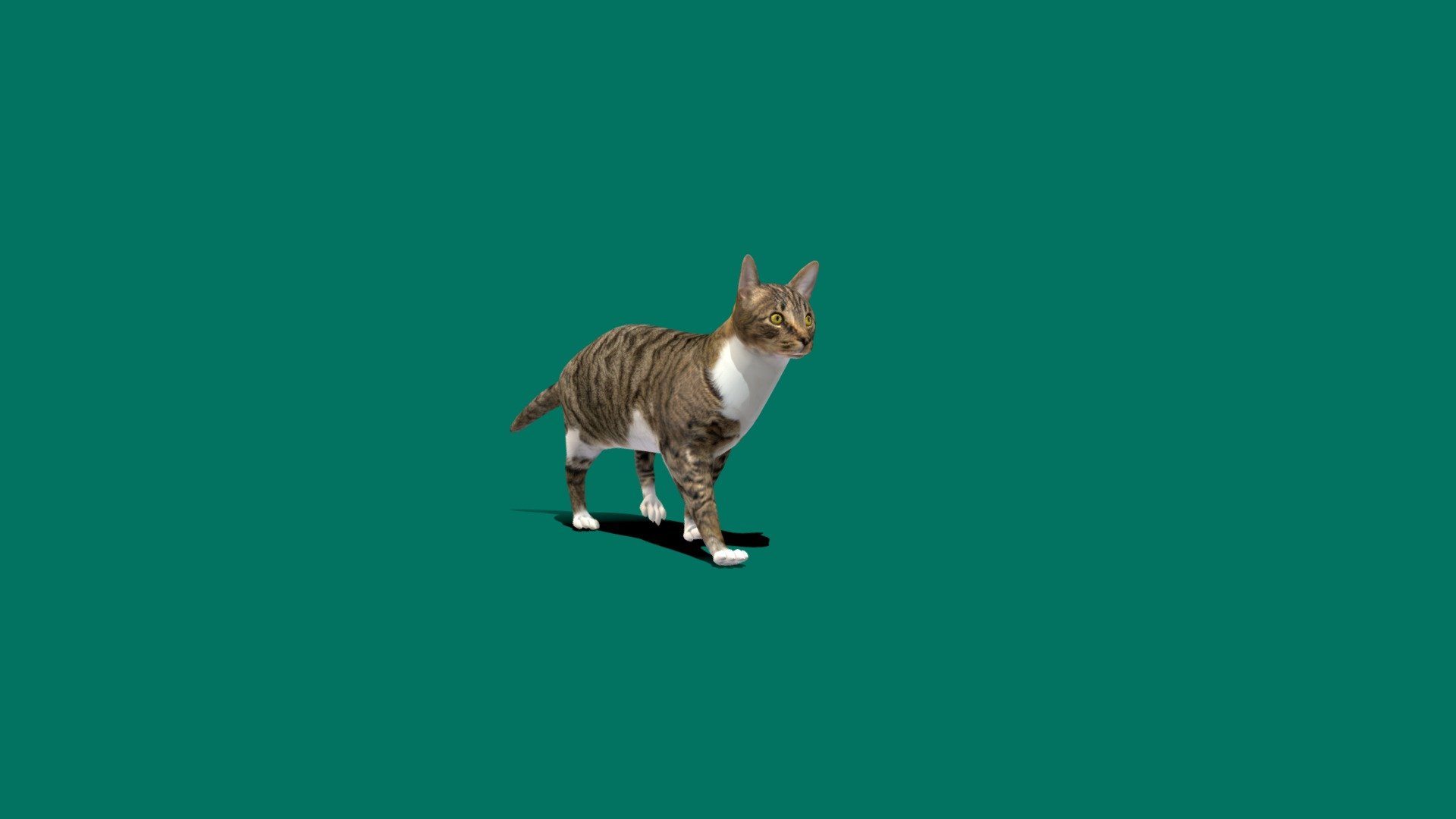 grey-cat-lowpoly-3d-model-by-nyilonelycompany-7a5be9d-sketchfab