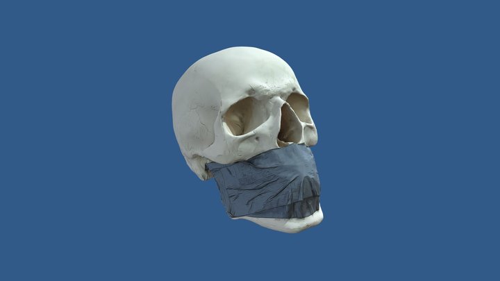 Skull w/ Duct Tape 3D Model