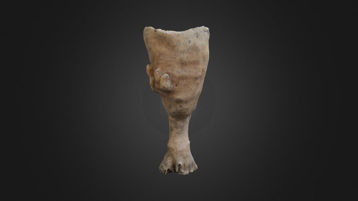 Porifera: basket sponge (PRI) – Free 3D Model STL
