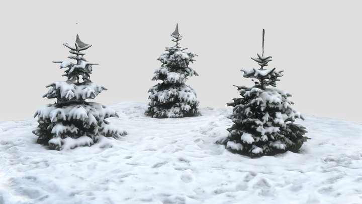 Small Snowy Pines 02 - RAW Scan 3D Model