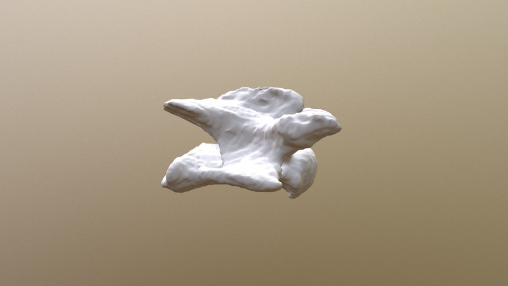 Hueso de llama
