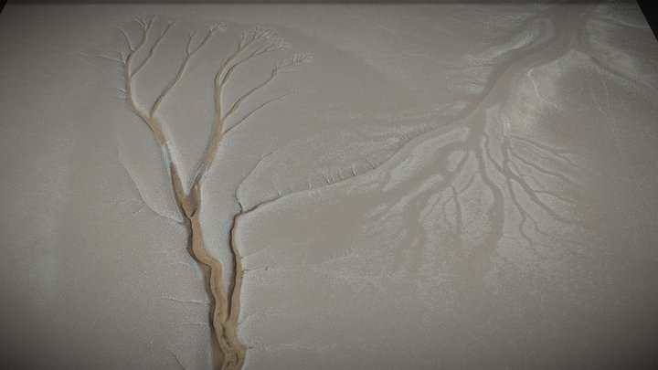 Tidal tree, seacoast, shore – Modelo 3D gratuito STL